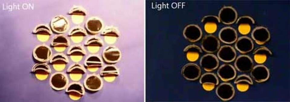 Små 'gardiner' stänger eller öppnar hål där ljuset flödar in beroende av belysningen de utsätts för. Foto: Javey Research Group/UC Berkeley Små 'gardiner' stänger eller öppnar hål där ljuset flödar in beroende av belysningen de utsätts för. Foto: Javey Research Group/UC Berkeley