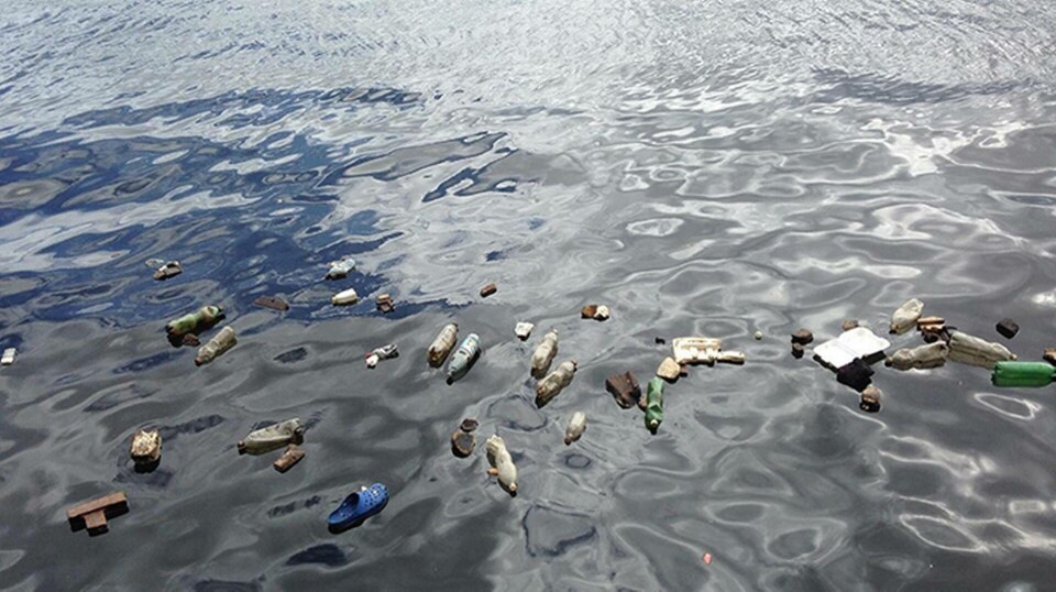 Singularity Hub har listat fem organisationer och företag som arbetar för att städa upp våra hav från all skadlig plast. Foto: tkremmel/Pixabay Singularity Hub har listat fem organisationer och företag som arbetar för att städa upp våra hav från all skadlig plast. Foto: tkremmel/Pixabay
