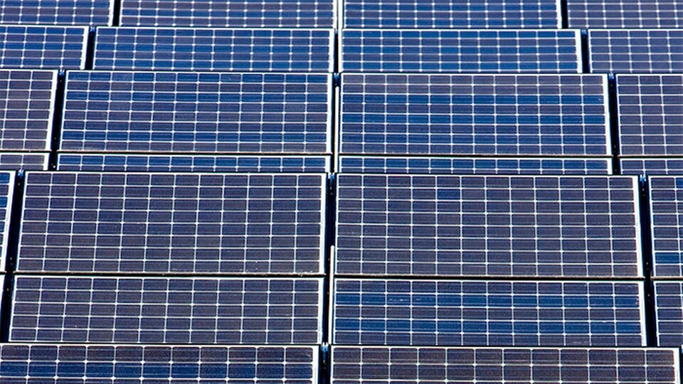 Foto: Alamy Foto: Alamy