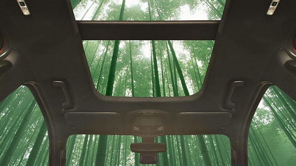 Bambu kan bli ett inslag i framtidens bilar. Foto: Ford Bambu kan bli ett inslag i framtidens bilar. Foto: Ford