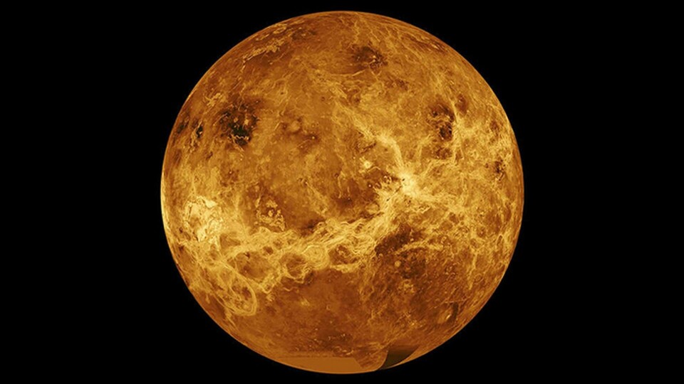 Kan det finnas liv på Venus? Enligt ny forskning är svaret sannolikt nej. Foto: Zuma Press/TT Kan det finnas liv på Venus? Enligt ny forskning är svaret sannolikt nej. Foto: Zuma Press/TT