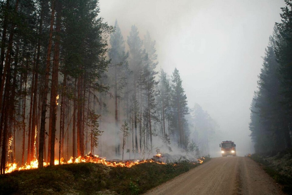 Sommaren 2018 rasade flera svåra skogsbränder i Sverige, som i Ängra utanför Ljusdal. Foto: Mats Andersson/TT