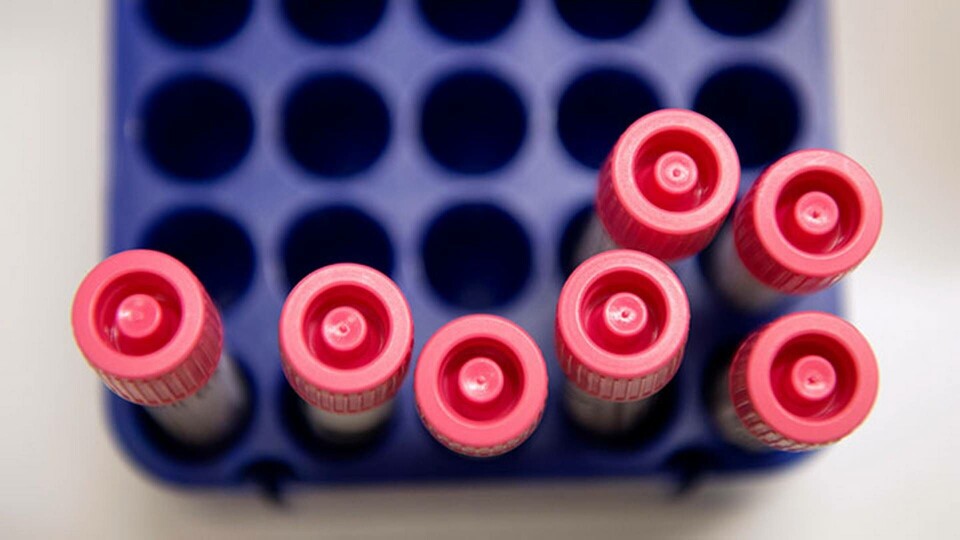 Vilken typ av bakterier en cancerpatient har i tarmarna kan påverka hur hen svarar på behandlingen immunterapi. Foto: TT Vilken typ av bakterier en cancerpatient har i tarmarna kan påverka hur hen svarar på behandlingen immunterapi. Foto: TT