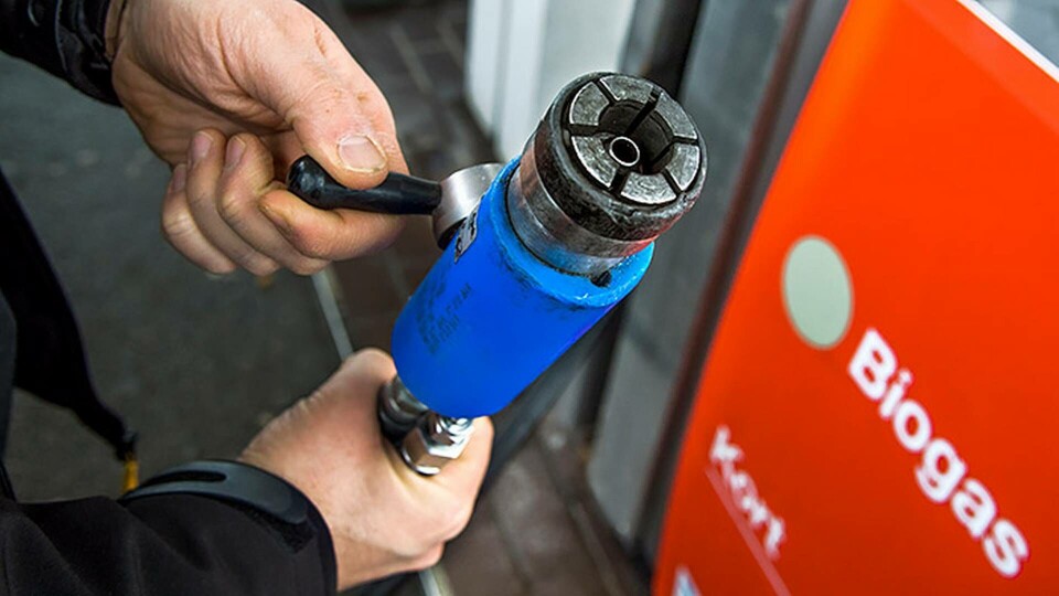 Forskare anser att metan från gödselstackar borde tas om hand och användas till drivmedel. Foto: Claudio Bresciani / TT Forskare anser att metan från gödselstackar borde tas om hand och användas till drivmedel. Foto: Claudio Bresciani / TT