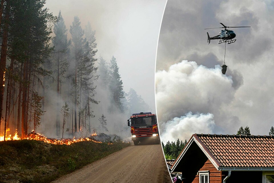 Kollage av bilder från släckningsarbetet vid en skogsbrand nära Färila, Ljusdal. Foto: Mats Andersson / TT & Tomas Oneborg / SvD / TT