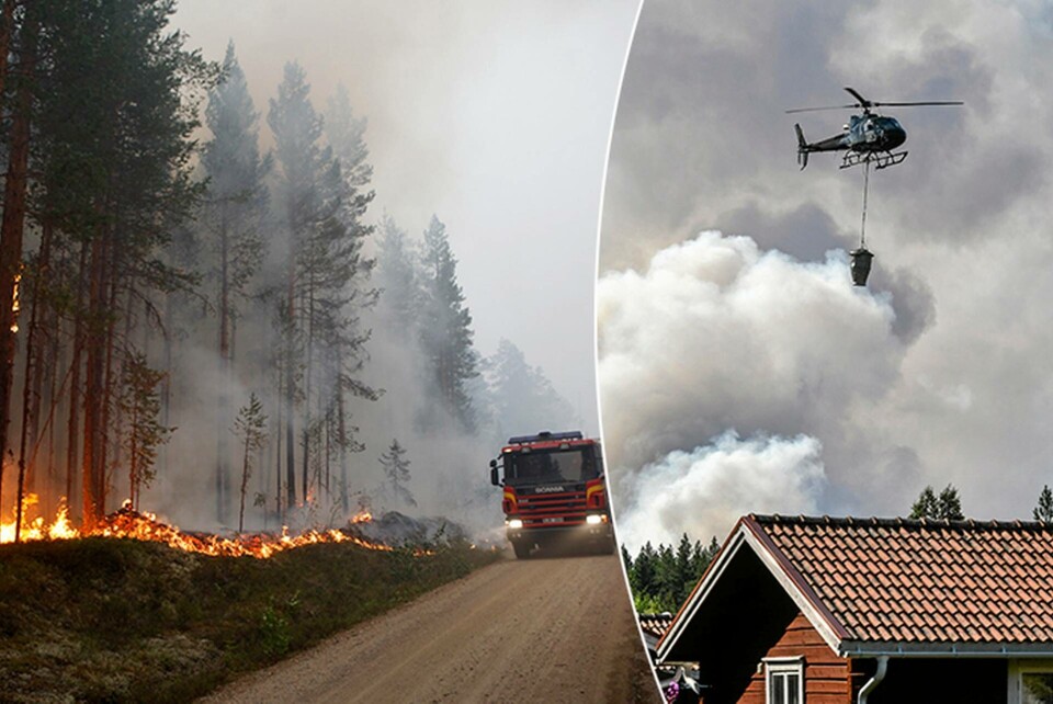 Kollage av bilder från släckningsarbetet vid en skogsbrand nära Färila, Ljusdal. Foto: Mats Andersson / TT & Tomas Oneborg / SvD / TT Kollage av bilder från släckningsarbetet vid en skogsbrand nära Färila, Ljusdal. Foto: Mats Andersson / TT & Tomas Oneborg / SvD / TT