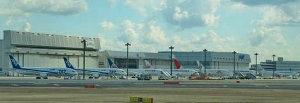 Ett SAS-plan taxade förbi sju Dreamlinerplan med flygförbud på Narita airport i Japan. Styrman Anders Fagerström passade på att ta den här bilden. Foto: Anders Fagerström