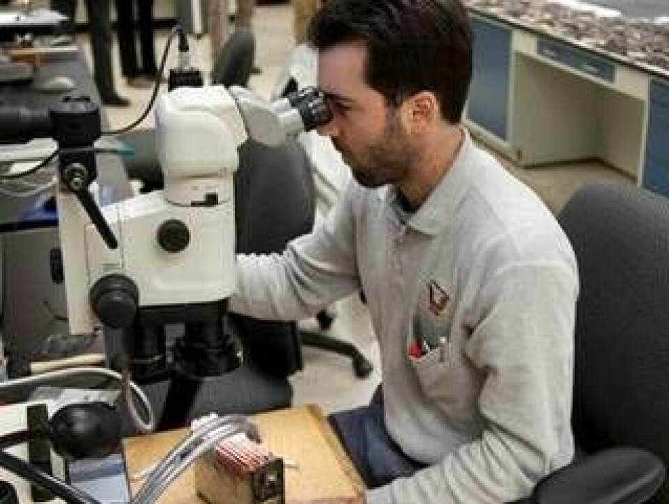 Utredaren Joseph Panagiotou på NTSB undersöker en battericell med stereomikroskop. Foto: NTSB