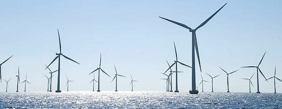 De 48 stora vindkraftverken på Lillgrund gör Malmö till största vindkraftskommunen i Sverige - en hårsmån före Gotland. Foto: Lars Anders Karlberg