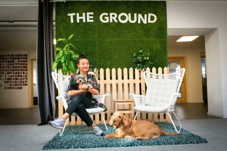 Hundarna Masaniello och Lord Nelson med Josefine Hjertström, verksamhetschef på The Ground. Foto: Johan Kristensson Hundarna Masaniello och Lord Nelson med Josefine Hjertström, verksamhetschef på The Ground. Foto: Johan Kristensson