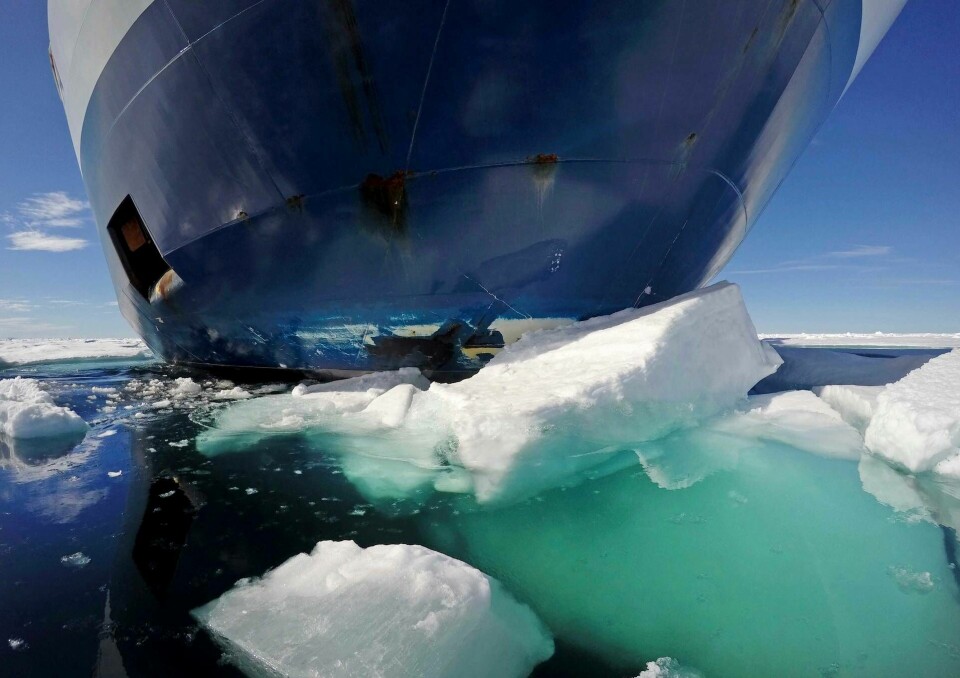 Ett forskningsprojekt ska leta nya färdvägar för fartyg i Arktis. På bilden syns den finländska isbrytaren MSV Nordica. Arkivbild. Foto: David Goldman/AP/TT