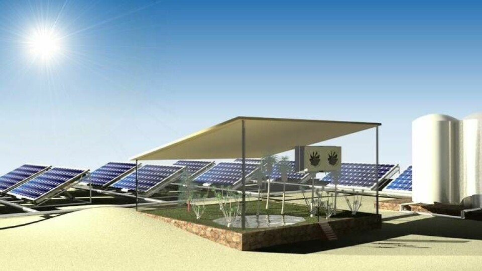 Forskarnas vision av odling med solpaneler och deras hydrogel. Foto: Renyuan Li