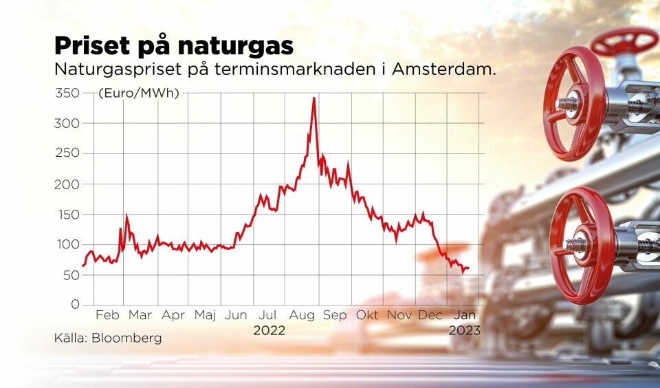 Naturgaspriset på terminsmarknaden i Amsterdam. Foto: Johan Hallnäs/TT