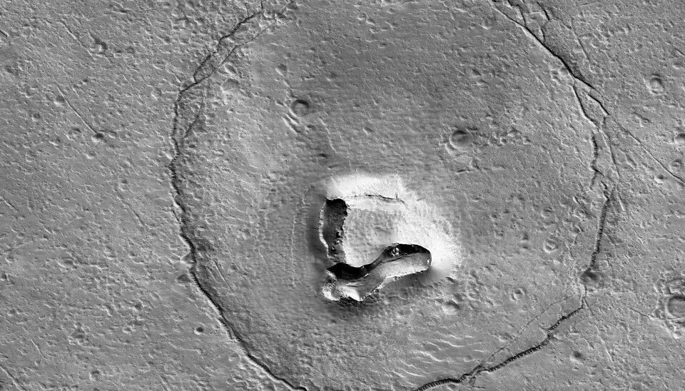 En stenformation som ser ut som en björn har fotograferats på Mars.