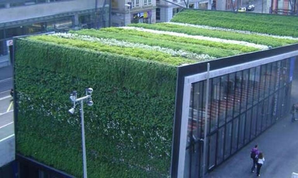 En matta av grönska täcker tak och fasader på den här byggnaden i Lausanne, Schweiz. Arbetet har gjorts av  det franska företaget Canevaflor, som deltar i bullerprojektet.