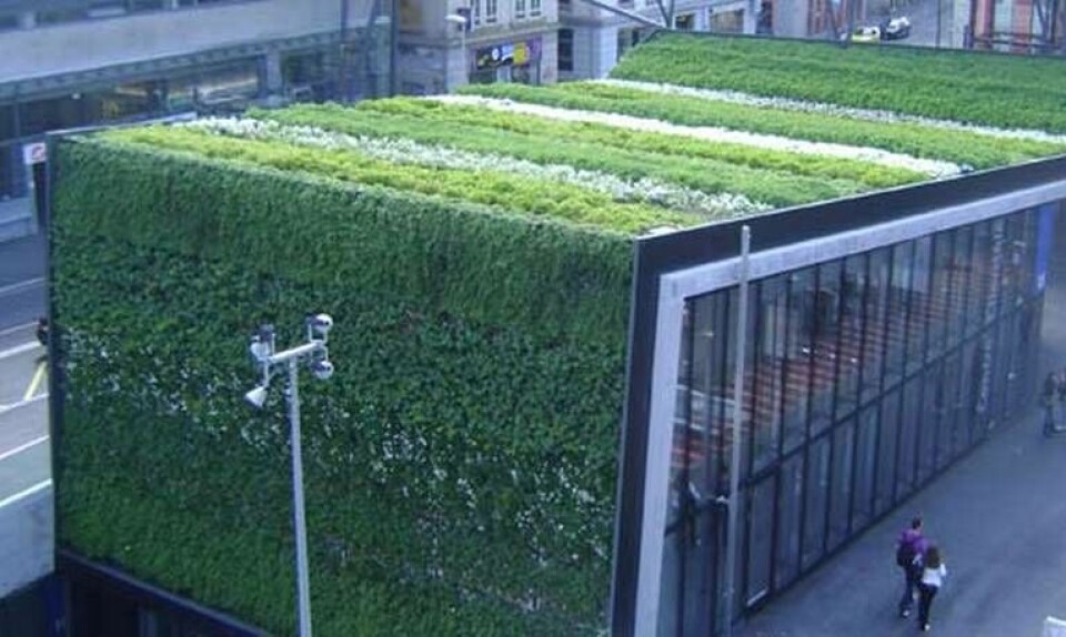 En matta av grönska täcker tak och fasader på den här byggnaden i Lausanne, Schweiz. Arbetet har gjorts av det franska företaget Canevaflor, som deltar i bullerprojektet. En matta av grönska täcker tak och fasader på den här byggnaden i Lausanne, Schweiz. Arbetet har gjorts av det franska företaget Canevaflor, som deltar i bullerprojektet.