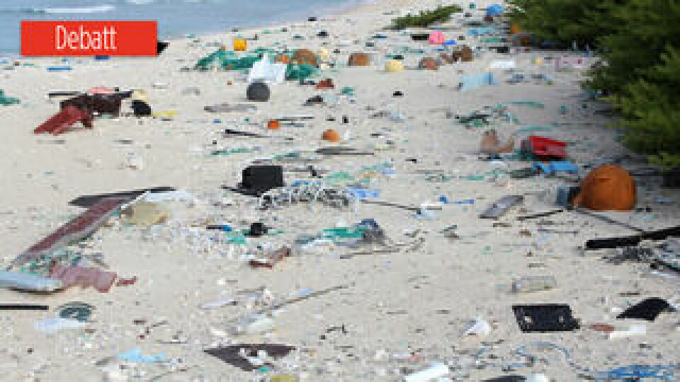 På den lilla ön Henderson Island i Stilla havet har stora mängder plastskräp flutit iland, 671,6 skräpföremål per kvadratmeter. Och varje dag spolas mer skräp iland. Foto: IMAS
