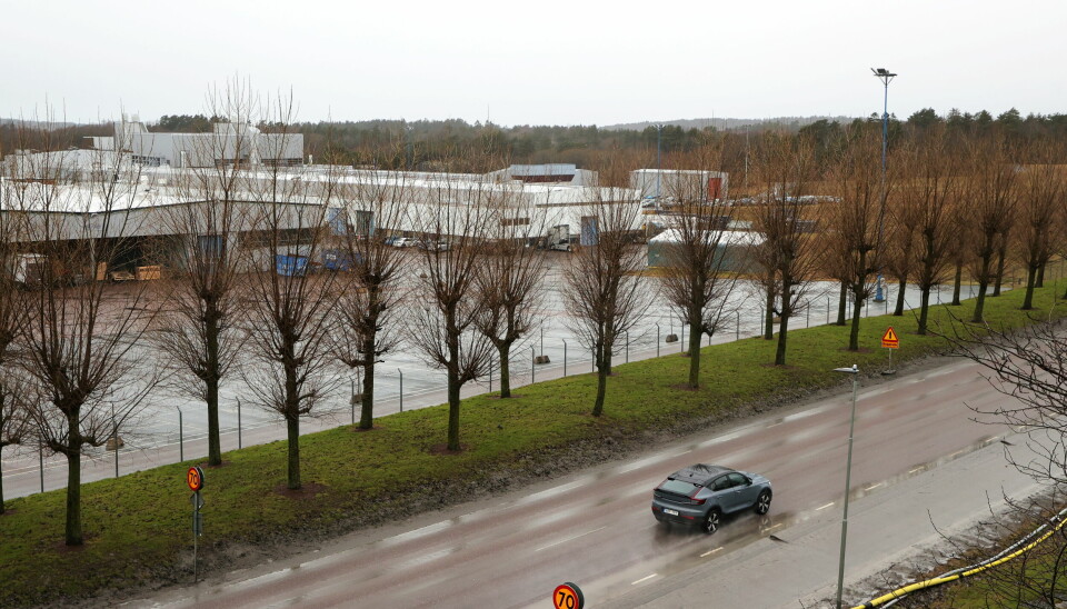 Förra året fick Volvo Cars och Northvolt tillstånd att flytta på fridlysta djur för att bygga en batterifabrik i Torslanda utanför Göteborg. Arkivbild.