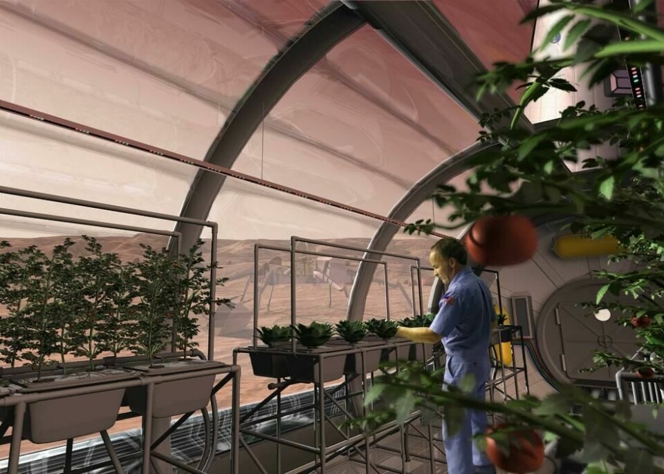 Nasa-illustration av växthus på Mars. Foto: Nasa