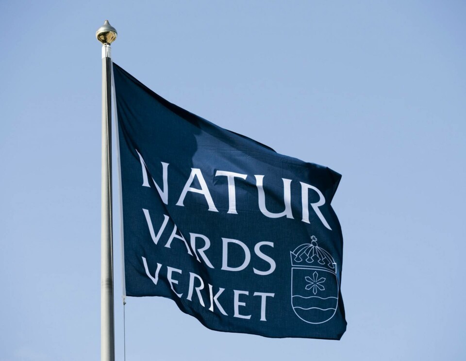 Cyberattack mot Naturvårdsverket – system nere