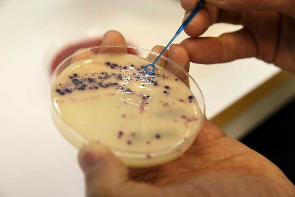 Israeliska forskares ai räknar ut risk för antibiotikaresistens