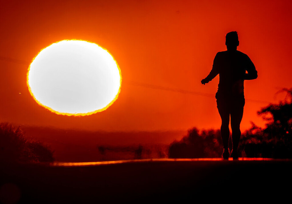 En joggare i soluppgången i Frankfurt i Tyskland den 17 juni. Den röda färgen signalerar att värmen kan vara riskabel, men personen på bilden är anonym och ansiktslös. Foto: Michael Probst/AP/TT En joggare i soluppgången i Frankfurt i Tyskland den 17 juni. Den röda färgen signalerar att värmen kan vara riskabel, men personen på bilden är anonym och ansiktslös. Foto: Michael Probst/AP/TT