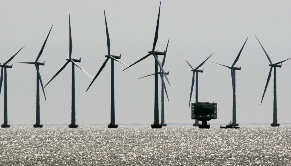 Ska Svenska kraftnät bekosta utbyggnaden av stamnätet till havs så att vindkraftsaktörer slipper den utgiften? Lillgrund i Öresund, en av de nuvarande svenska vindkraftsparkerna i havet. Foto: Johan Nilsson/TT