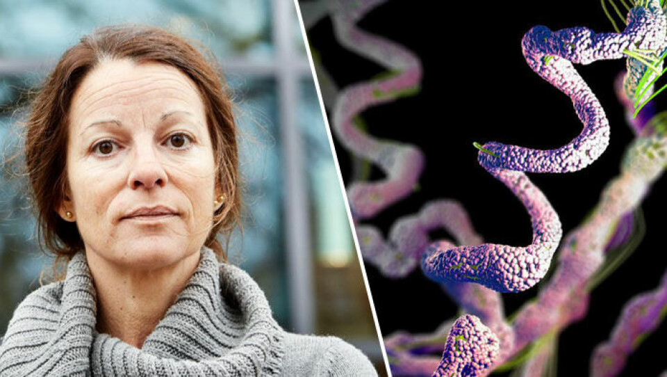 Foto: Science Photo Library och Anna-Lena Lundqvist/Chalmers Foto: Science Photo Library och Anna-Lena Lundqvist/Chalmers