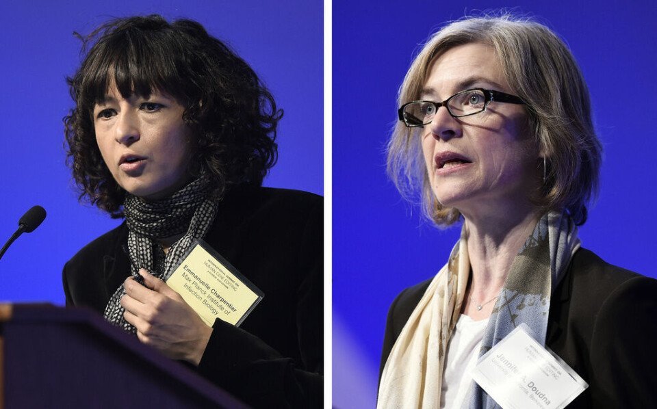 Emmanuelle Charpentier och Jennifer Doudna – årets vinnare av Nobelpriset i kemi. Foto: Susan Walsh Emmanuelle Charpentier och Jennifer Doudna – årets vinnare av Nobelpriset i kemi. Foto: Susan Walsh