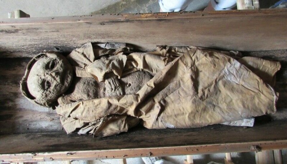 Spädbarnet är 53 centimeter långt och hade begravts i en omärkt träkista. Foto: A G Nerlich et al
