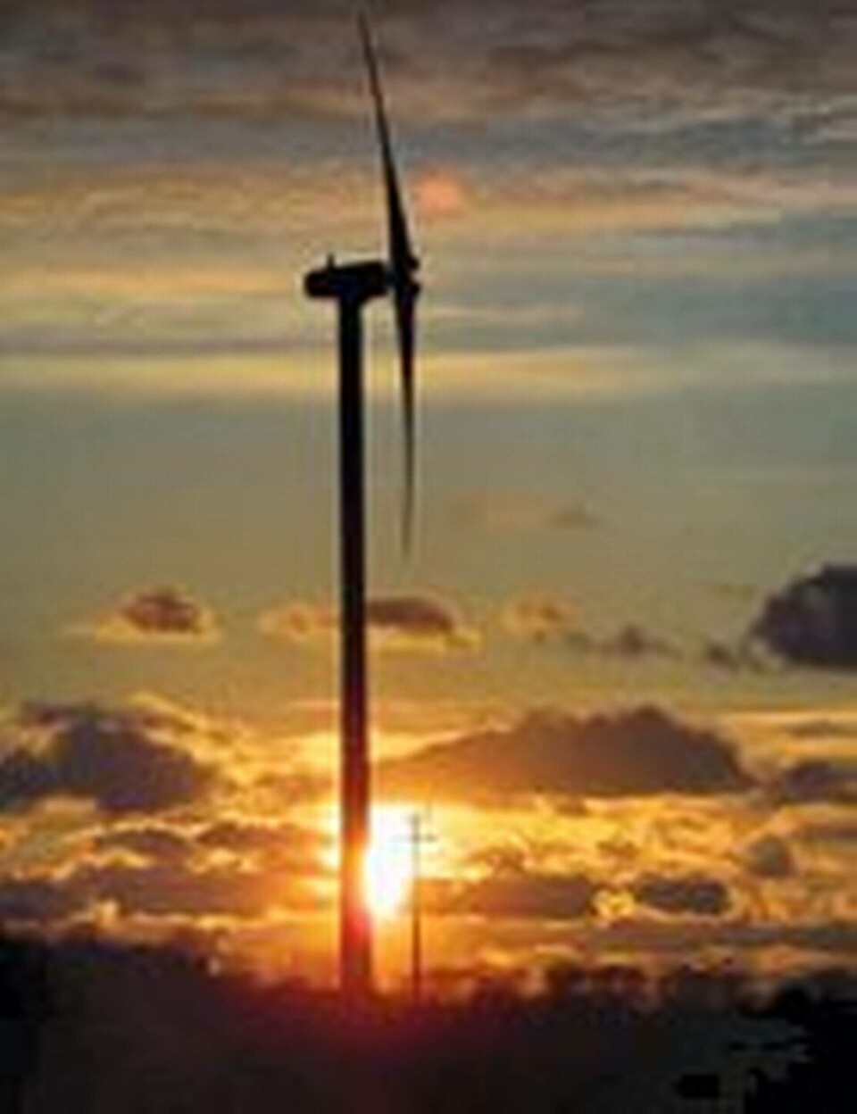 Vattenfall och Sveaskog i gigantiskt vindprojekt