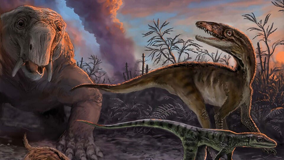 Forskare: Ren otur bakom dinosauriernas död