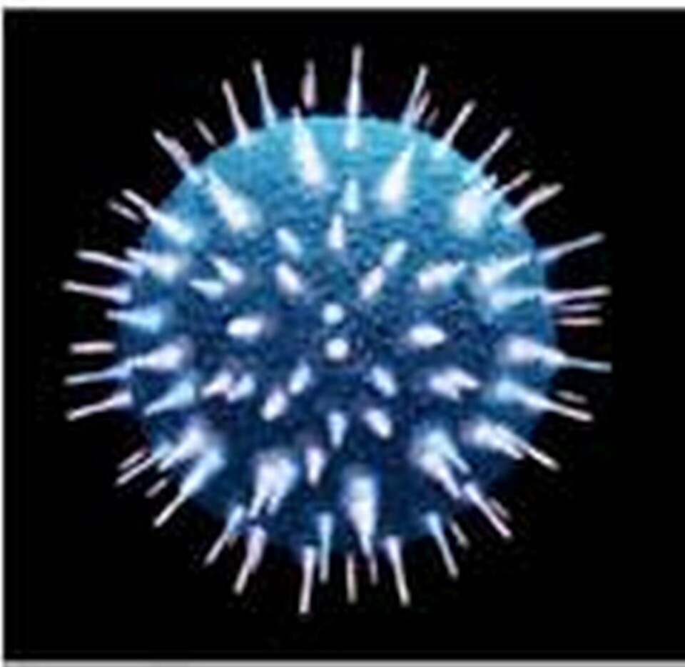 Transplantation av stamceller botade hiv