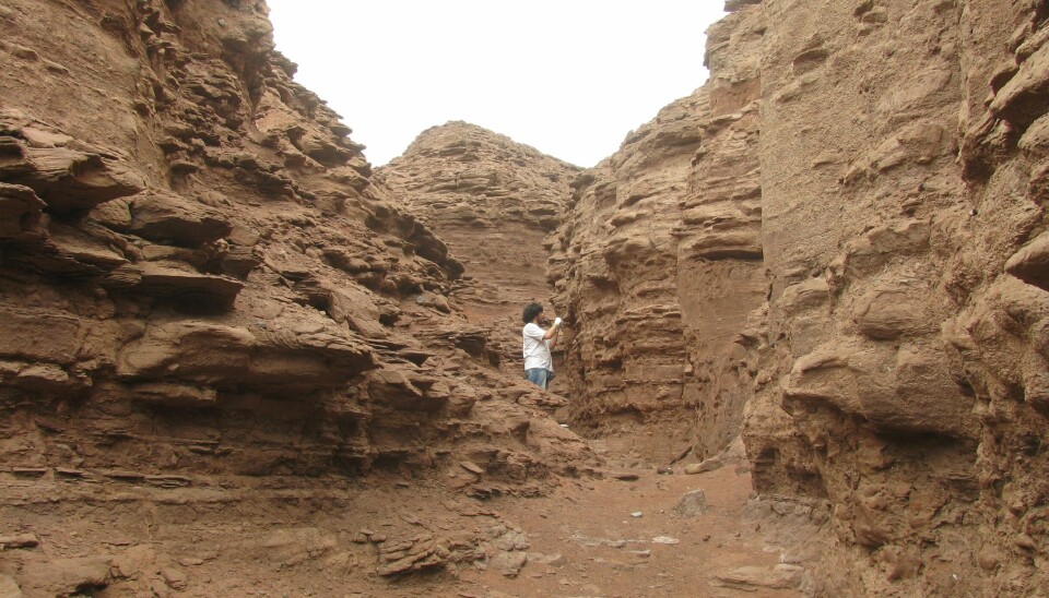 Armando Azua-Bustos examines the area where the study was conducted.