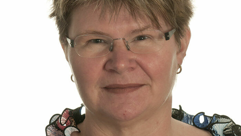 Erika Ingvald, enhetschef på Sveriges geologiska undersökning Foto: SGU