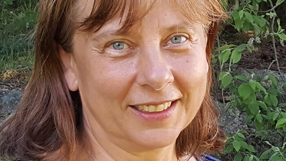 Lisbeth Dahllöf, livscykelanalytiker på IVL Svenska miljöinstitutet: Foto: IVL