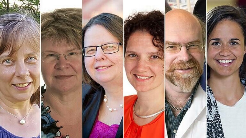 Experterna tycker till: Här är utmaningarna för Northvolt. Experterna tycker till: Här är utmaningarna för Northvolt.