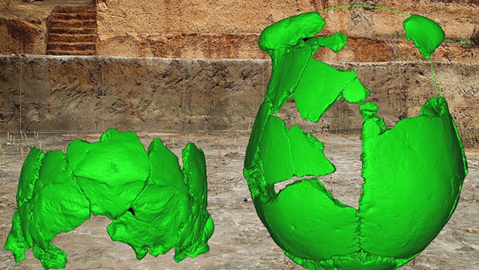 Skallfynd kan vara neandertalarnas mystiska släktingar