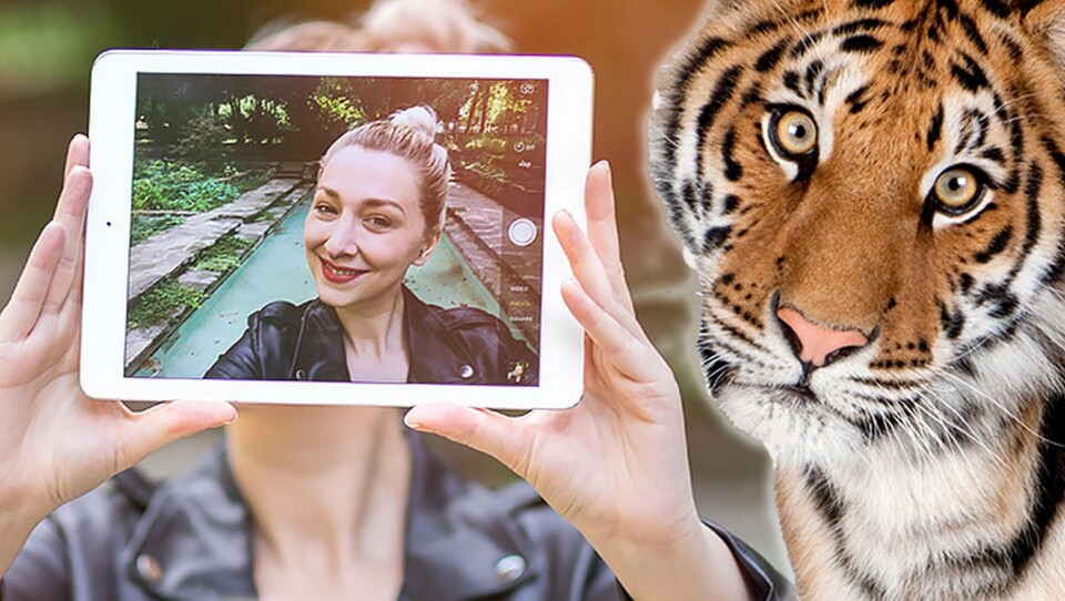 Instagram vill stoppa selfies med hotade djur