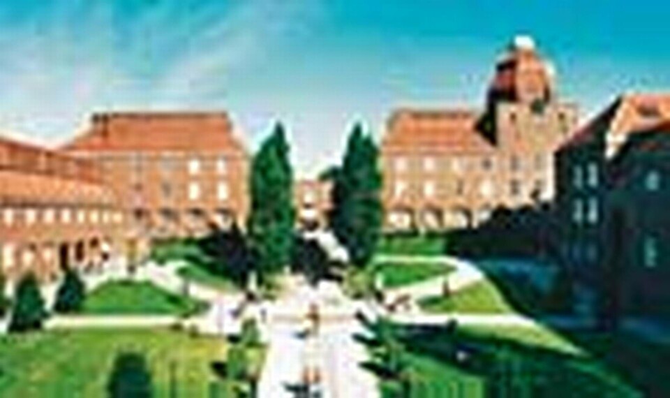 KTH bästa skolan för vd