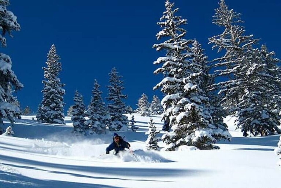 Jim Steenburgh testar skidorna i nysnön Foto: University of Utah Jim Steenburgh testar skidorna i nysnön Foto: University of Utah