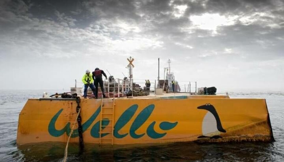 Wellos Penguin. Foto: Jan Oelker Wellos Penguin. Foto: Jan Oelker