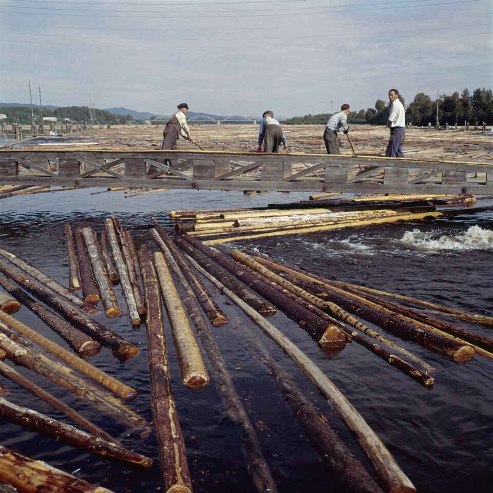 Flottare såg till att stockarna inte fastnade under frakten, ett farligt yrke som ledde till många dödsoffer. Att stockarna fastnade i brötar hörde till de större riskerna, då de antingen fick brytas isär med hjälp av båtshakar och handkraft eller sprängas loss med dynamit. Flottare såg till att stockarna inte fastnade under frakten, ett farligt yrke som ledde till många dödsoffer. Att stockarna fastnade i brötar hörde till de större riskerna, då de antingen fick brytas isär med hjälp av båtshakar och handkraft eller sprängas loss med dynamit.