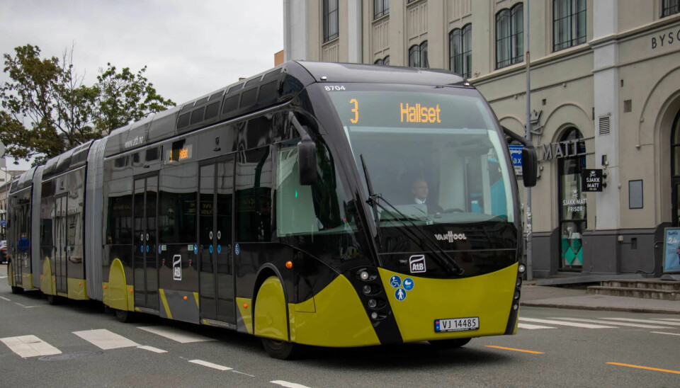 Det är de så kallade ”metrobussarna”, som de här dubbla ledbussarna från Van Hool, som eventuellt kan göras helelektriska i framtiden genom laddning från marken i Trondheim.