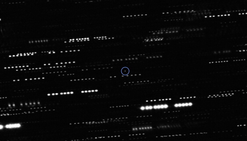 ‘Oumuamua syns här i mitten av bilden. Bilden är tagen av teleskopet VLT och stjärnorna som syns har dragits ut till streck medan teleskopet rört sig för att fånga en skarp bild på ‘Oumuamua. En bild av Oumuamua tagen av teleskopet VLT.