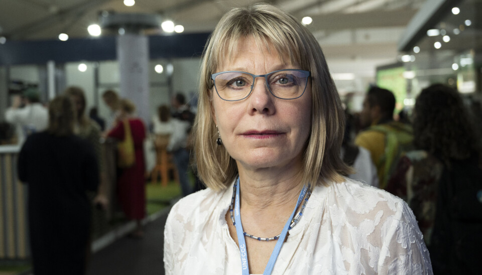 Naturskyddsföreningens generalsekreterare Karin Lexén på klimatmötet COP 27 i Egypten i höstas. Arkivbild. Naturskyddsföreningens generalsekreterare Karin Lexén
