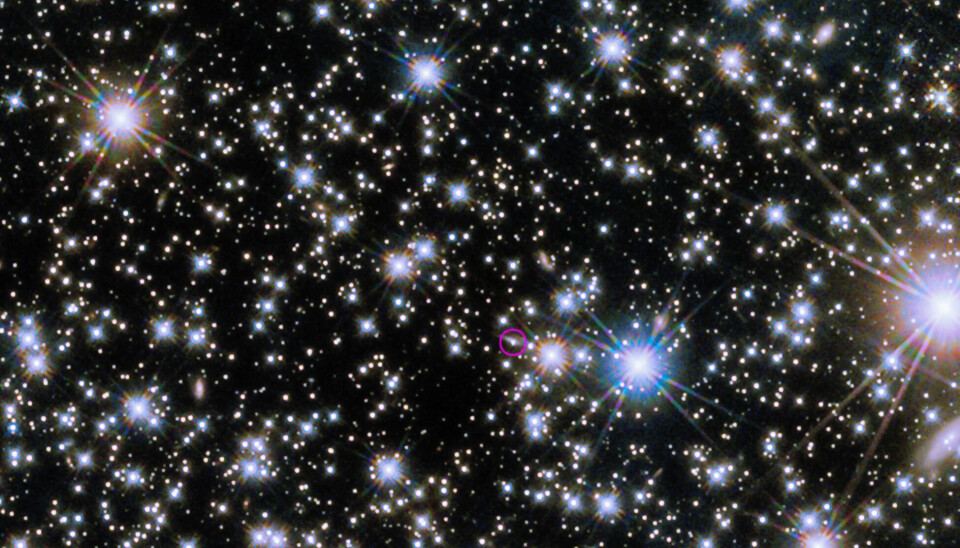 La cámara del telescopio espacial Hubble capturó el resplandor infrarrojo (encerrado en un círculo) del BOAT GRB y su galaxia anfitriona.  Esta imagen compuesta contiene imágenes tomadas entre el 8 de noviembre y el 4 de diciembre de 2022. Dado lo brillante que era el GRB, el resplandor puede ser visible para los telescopios durante años.