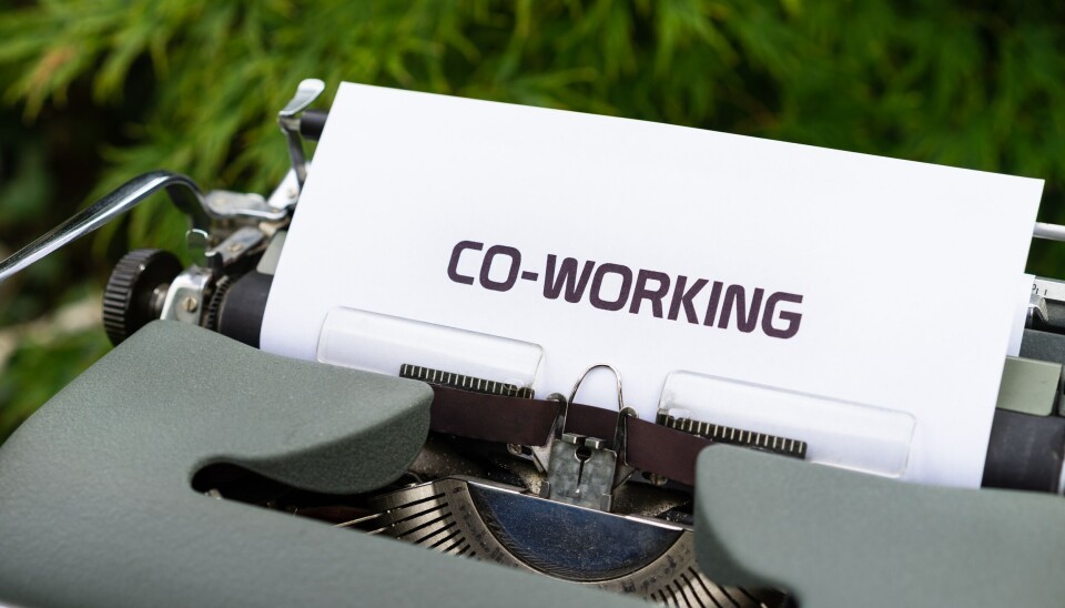 Det är inte alltid lätt att kommunicera med sina medarbetare – här är tre tips från experten. En text på en skrivmaskin det står co-working, skrivmaskinen står i en grön miljö, framför ett träd