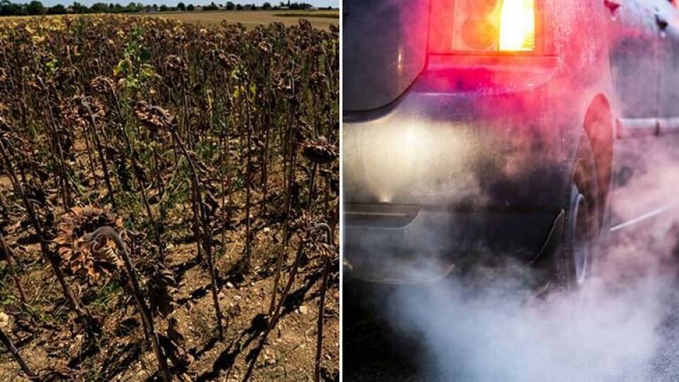 Vad tycker partierna i klimatfrågan? Foto: TT Vad tycker partierna i klimatfrågan? Foto: TT