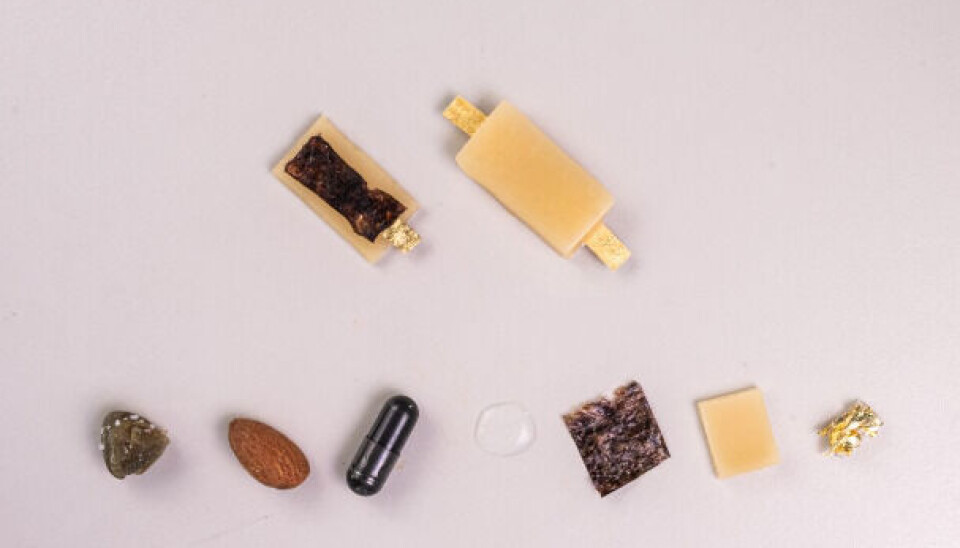 Den ätbara battericellen och dess ingredienser. Olika delar som bygger upp ett batteri.